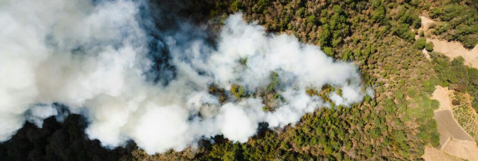 an aerial shot of smoke coming from the forest