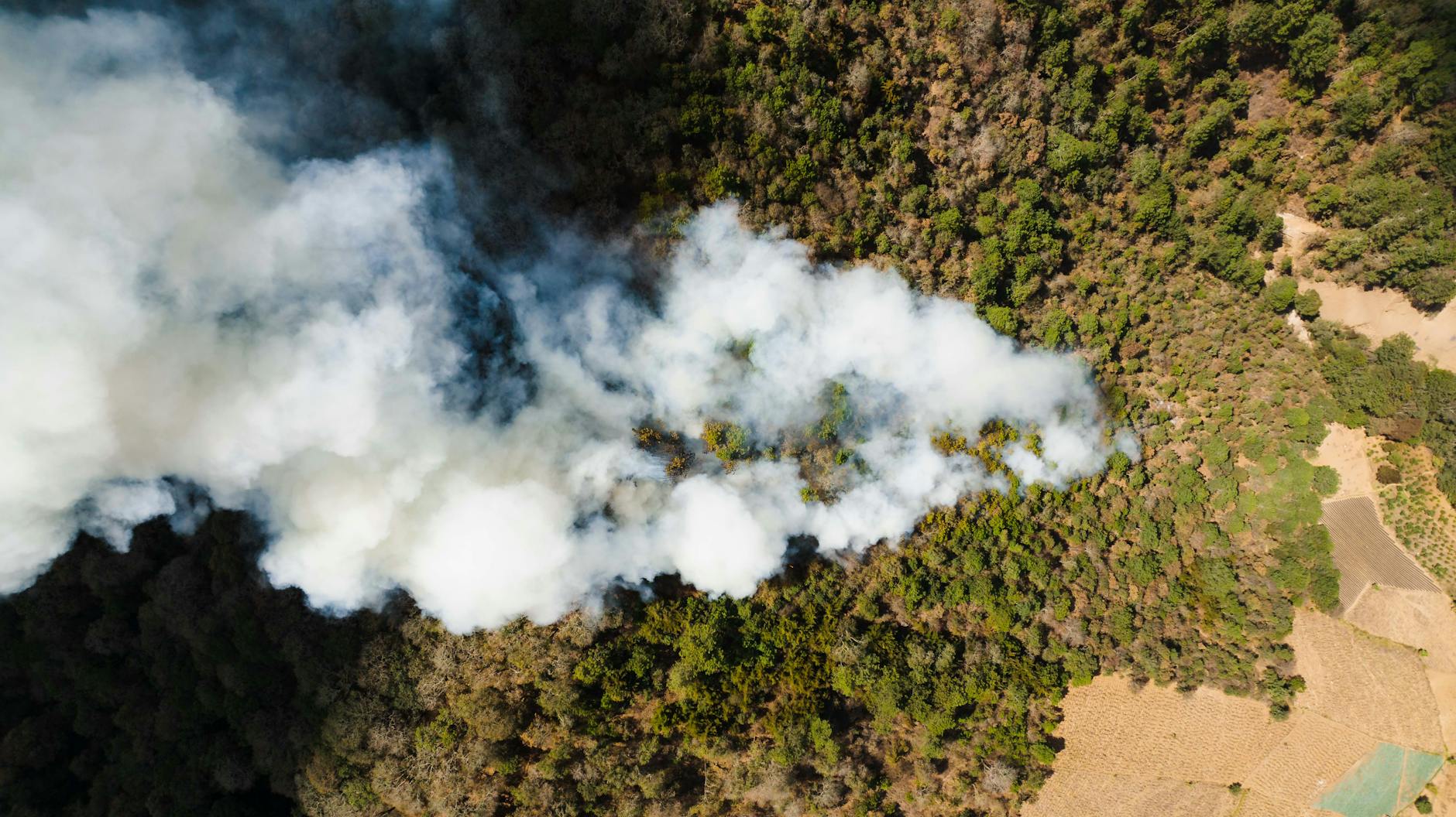 an aerial shot of smoke coming from the forest