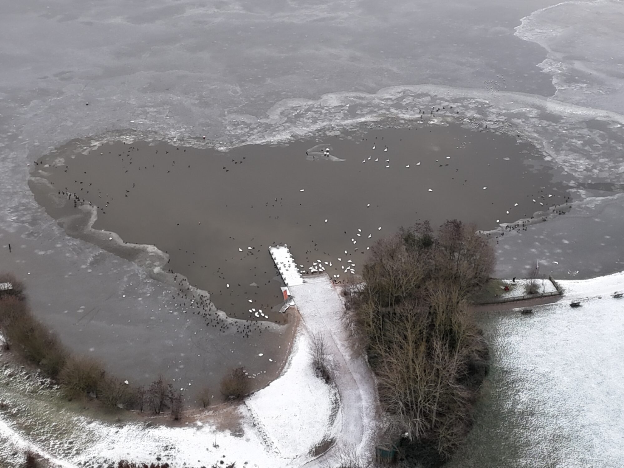 The water appears frozen in place, leaving a little island for the birds in one of Watermeads lakes